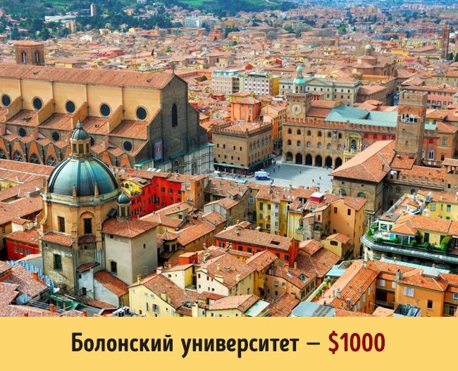 Болонский университет