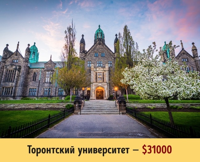 Торонтский университет