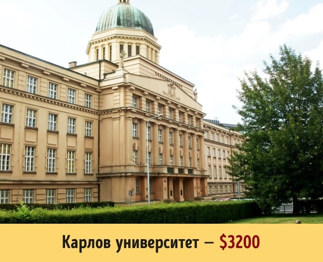Карлов университет