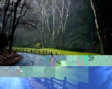 x_3875ef5e.jpg