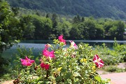 IMG_0919.JPG