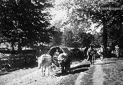 Карачаевцы едут в фургонах по лесной дороге. 1930-е гг. 
