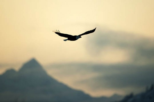 Фонд содействия развитию карачаево-балкарской молодежи “Эльбрусоид”