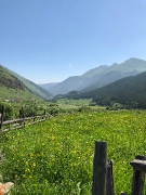 IMG-20180701-WA0198.jpg