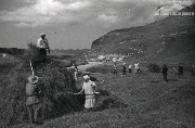 Жители аула Билым стогуют сено в Баксанском ущелье. 1936 год. 
