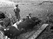 0-25576.jpg